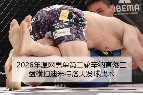nian-wen-wang-nan-dan-di-er-lun-xin-na-zhi-luo-san-pan-heng-sao-di-mi-te-luo-fu-fa-qiu-zhan-shu-1-918.jpg